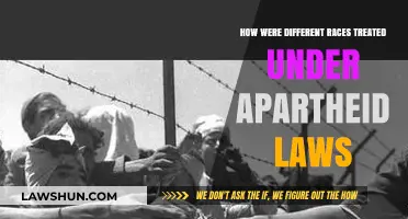 The Apartheid Laws: Racial Discrimination and Injustice