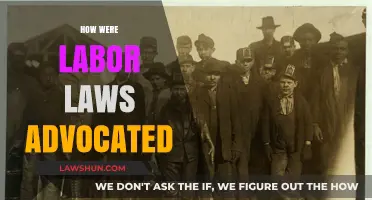 Advocating for Workers: The Evolution of Labor Laws and Reforms