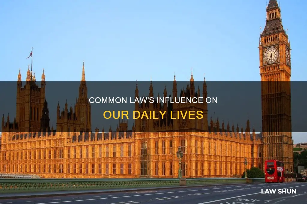 how were we influenced by common law