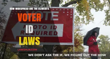 Voter ID Laws: How Widespread Are Their Elements and Impact?