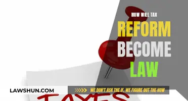 Tax Reform: Lawmaking Process Explained