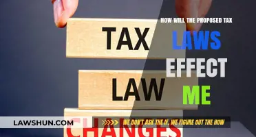 Proposed Tax Laws: What's in Store for You?