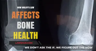 Wolff's Law: Unlocking Stronger Bones Through Mechanical Stress