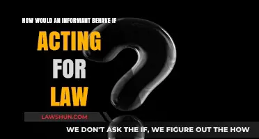 Informant Behavior: Legal Boundaries and Ethical Conduct in Law Enforcement
