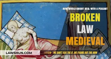 Medieval Justice: How Knights Handled Peasant Lawbreakers in Feudal Times