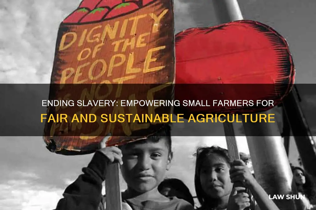 how would making slavery against the law help small farmers