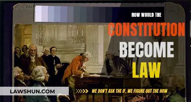 The Constitution's Legal Journey: Understanding the Process