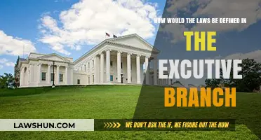 Defining Executive Branch Laws: Power, Process, and Constitutional Boundaries