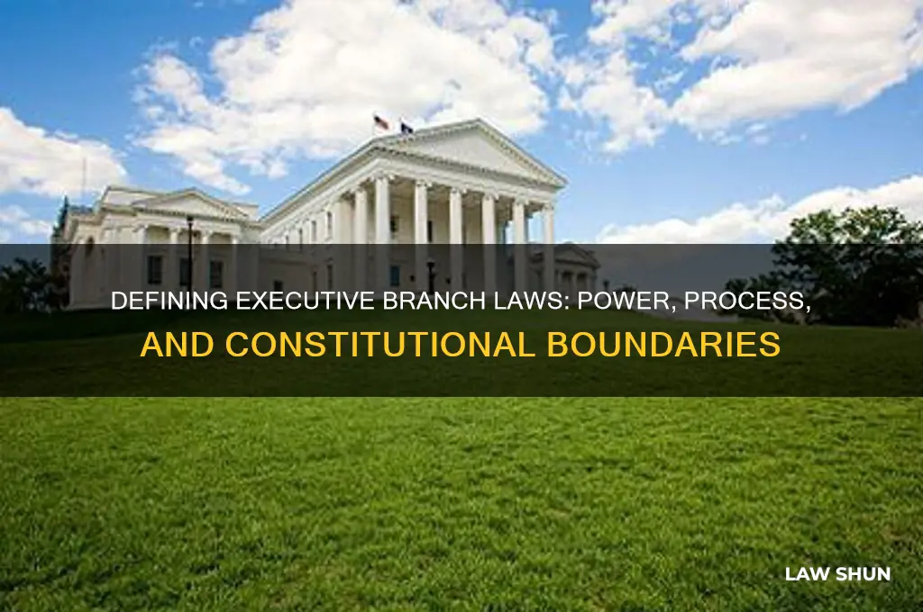 how would the laws be defined in the excutive branch