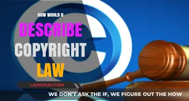 Understanding Copyright Law: A Comprehensive Guide to Protecting Creative Works