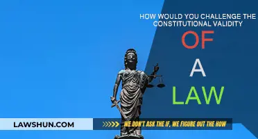 Challenging Law: Constitutional Validity