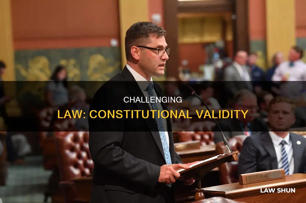 how would you challenge the constitutional validity of a law