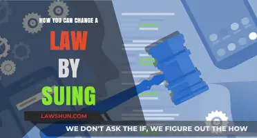 Suing to Change a Law: A Citizen's Guide