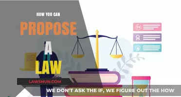 Crafting a Law: A Guide to Proposing Legislation