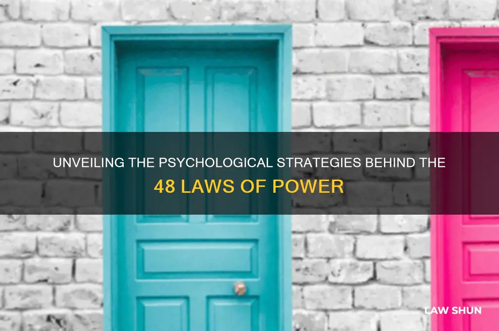 is 48 laws of power psychology
