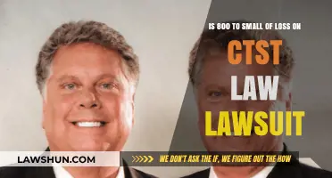 Is an 800 Loss Too Small in the CTST Law Lawsuit?