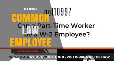 Understanding 1099 Worker Classification: Common Law Employee Status