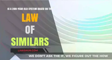 Revisiting Homeopathy: The 200-Year-Old Law of Similars System