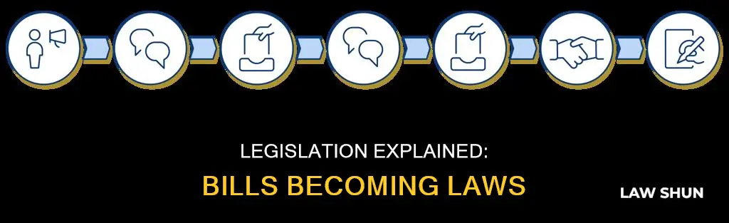 is a bill that becomes a law is called legislation