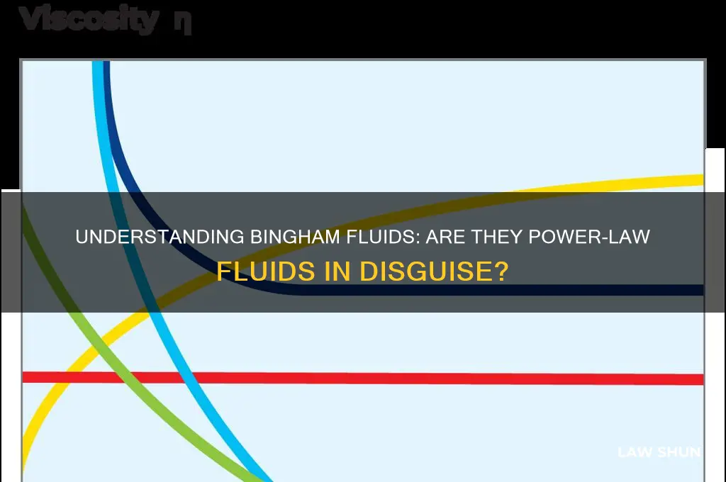 is a bingham fluid a power law