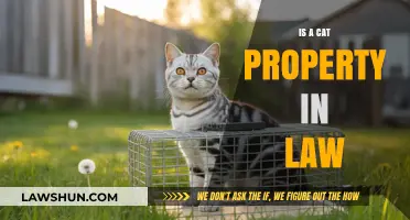 Are Cats Considered Property Under the Law? Exploring Legal Ownership