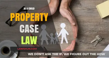 Property Law: Children's Rights and Case Law