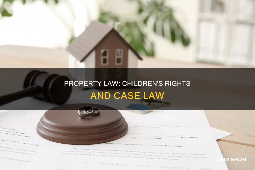 is a child property case law