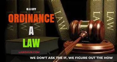 Understanding City Ordinances: Are They Laws?