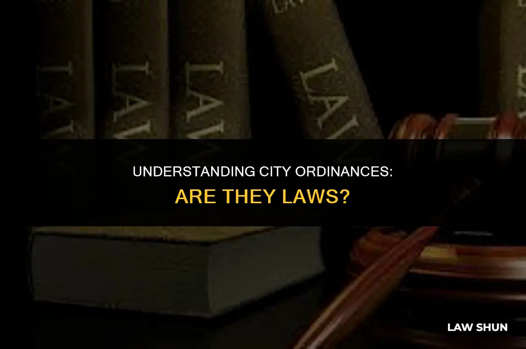 is a city ordinance a law