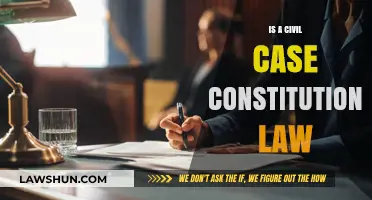 Civil Cases: Constitutional Law's Core