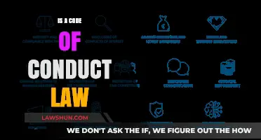 Is a Code of Conduct Legally Binding? Exploring Its Legal Status