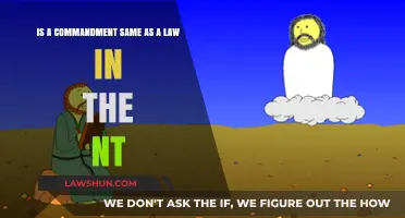 Commandments vs. Laws in the New Testament: Understanding the Difference