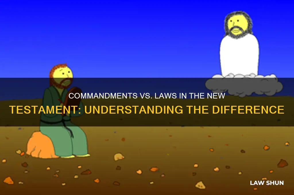 is a commandment same as a law in the nt