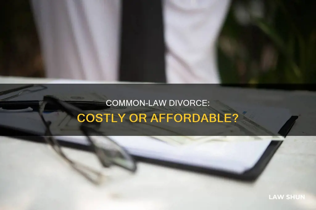is a common law divorce expensive