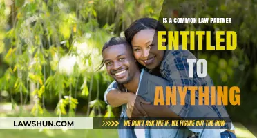 Understanding Entitlements: Common Law Partners' Rights
