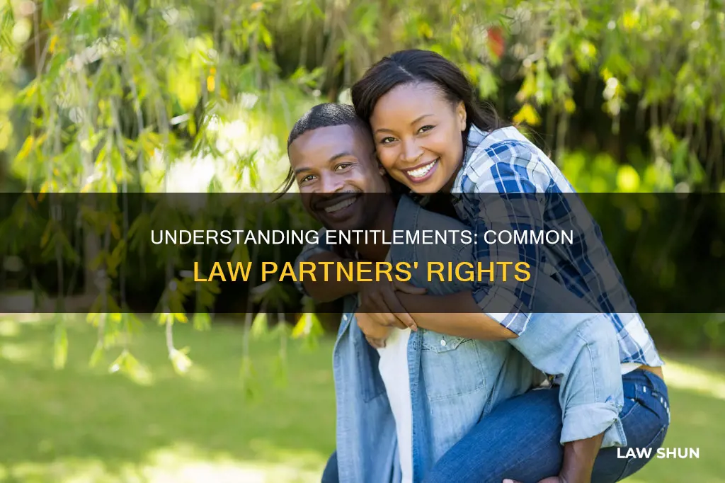 is a common law partner entitled to anything