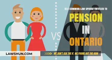 Pension Rights: Common-Law Spouses in Ontario