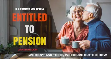 Understanding Pension Entitlements for Common-Law Spouses