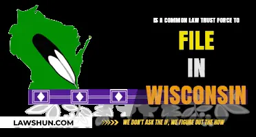 Common Law Trusts: Wisconsin Filing Requirements