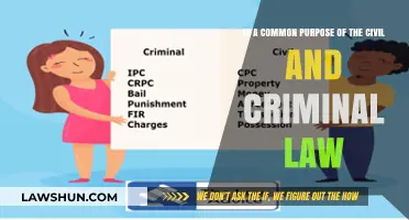 Civil and Criminal Law: What's the Common Purpose?