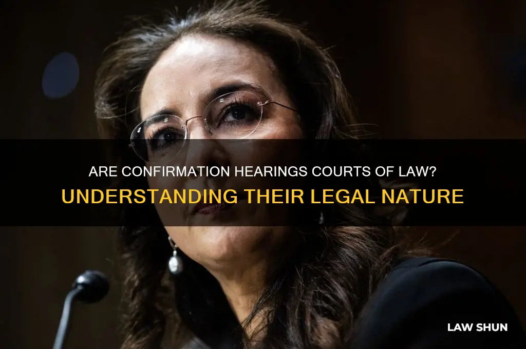 is a confirmation hearing a court of law