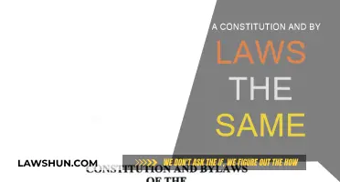 What's the Difference: Constitution vs. Bylaws?