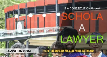 What Makes a Constitutional Law Scholar?