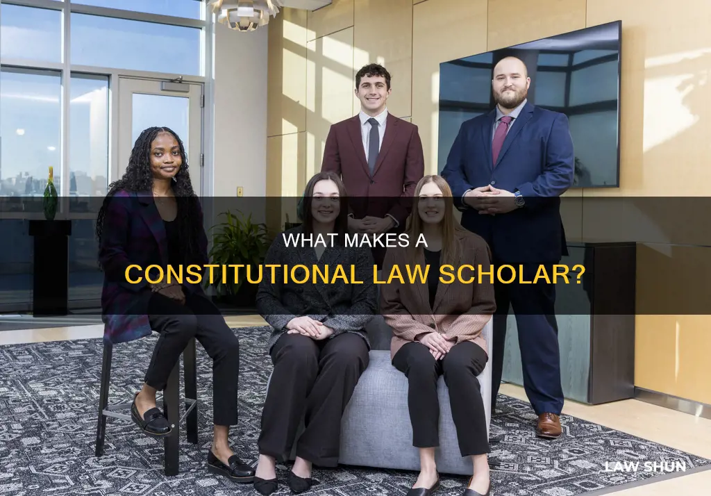 is a constitutional law scholar a lawyer