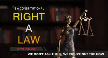Constitutional Rights: Are They Laws?