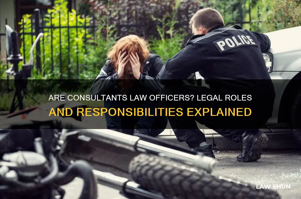 is a consultant considered an officer of the law