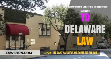 Delaware Incorporation: Are Corporations Subject to Delaware Law?
