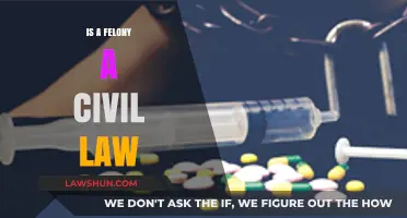 Is a Felony Civil or Criminal? Understanding Legal Classifications