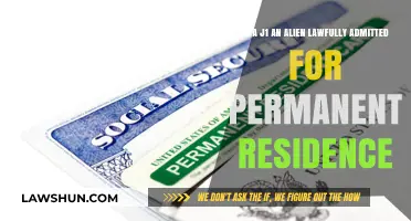 Understanding J-1 Visa Status: Are Holders Considered Lawful Permanent Residents?