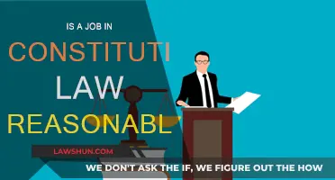 Constitutional Law: A Career Path?